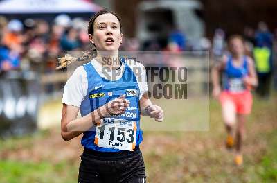 Deutsche Crosslauf-Meisterschaften 2024; Hoerstel-Riesenbeck, 23.11.2024
